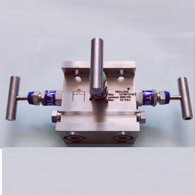 5 Way Manifold Valve Manufacturer, Exporter and Supplier in India